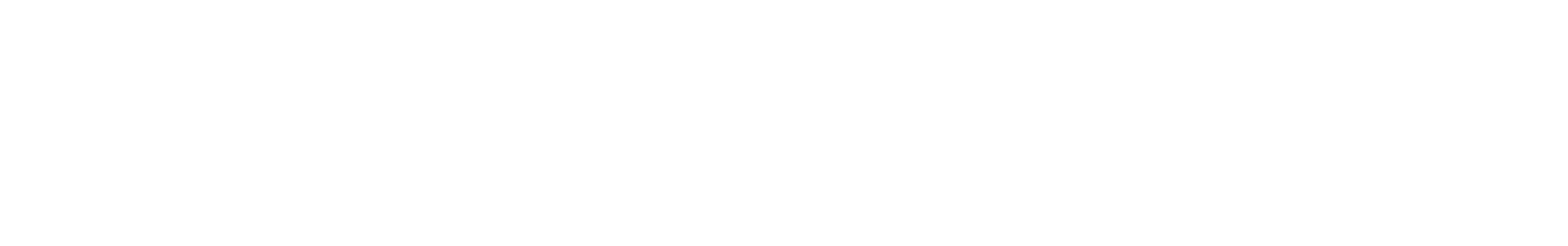 easystore Pro